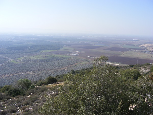  North, Misgav Hebrew 2